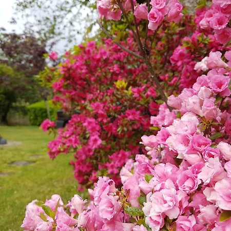 Uveiras Garden Holiday home